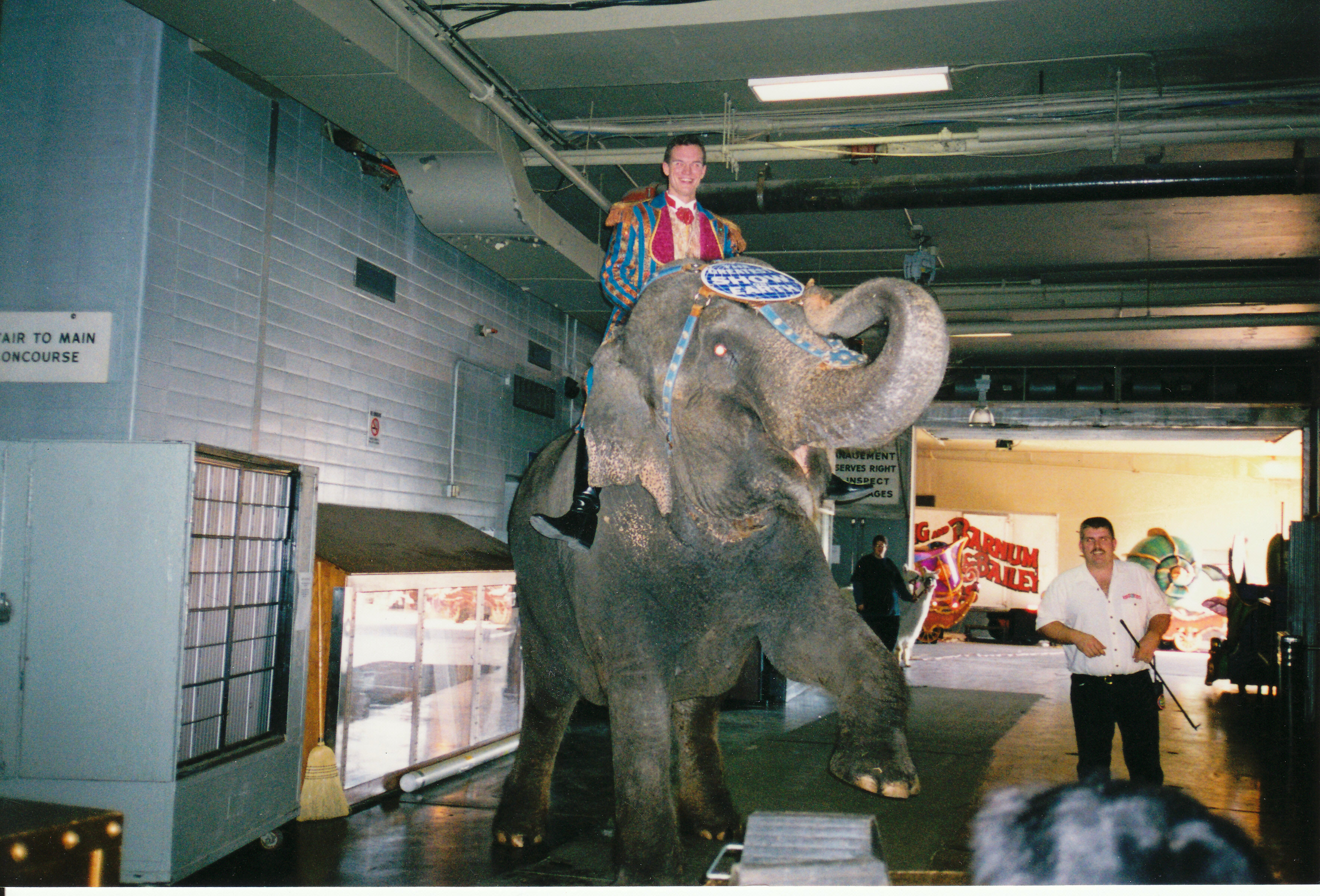 Ringling